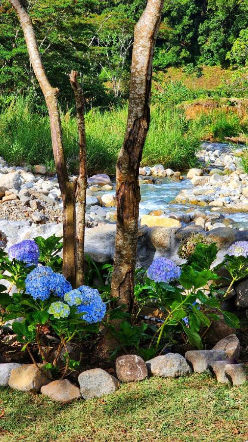 Rio Verde By Villa Alejandro Boquete Eksteriør bilde